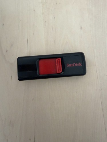 Sandisk cruzer 4gb - 4gb, drive